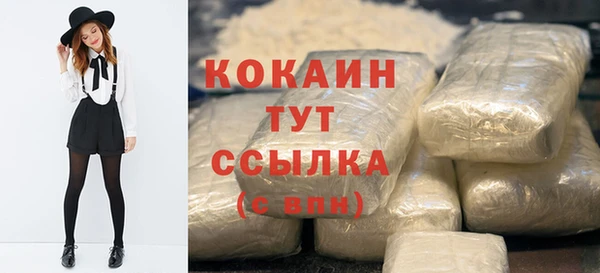 спайс Арсеньев