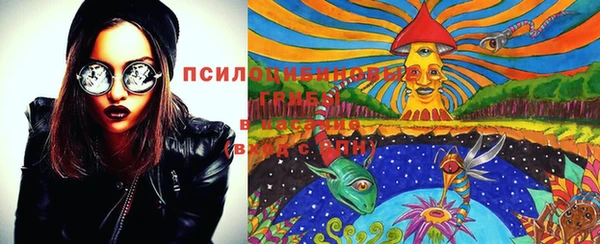 спайс Арсеньев
