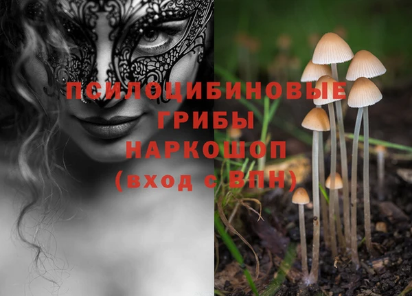 jwh Аркадак