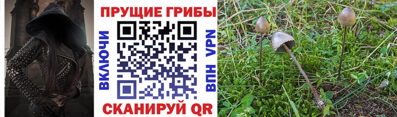 Галлюциногенные грибы ЛСД  Лесной 